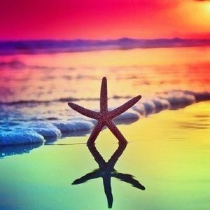 Meet your Posher, Sherry